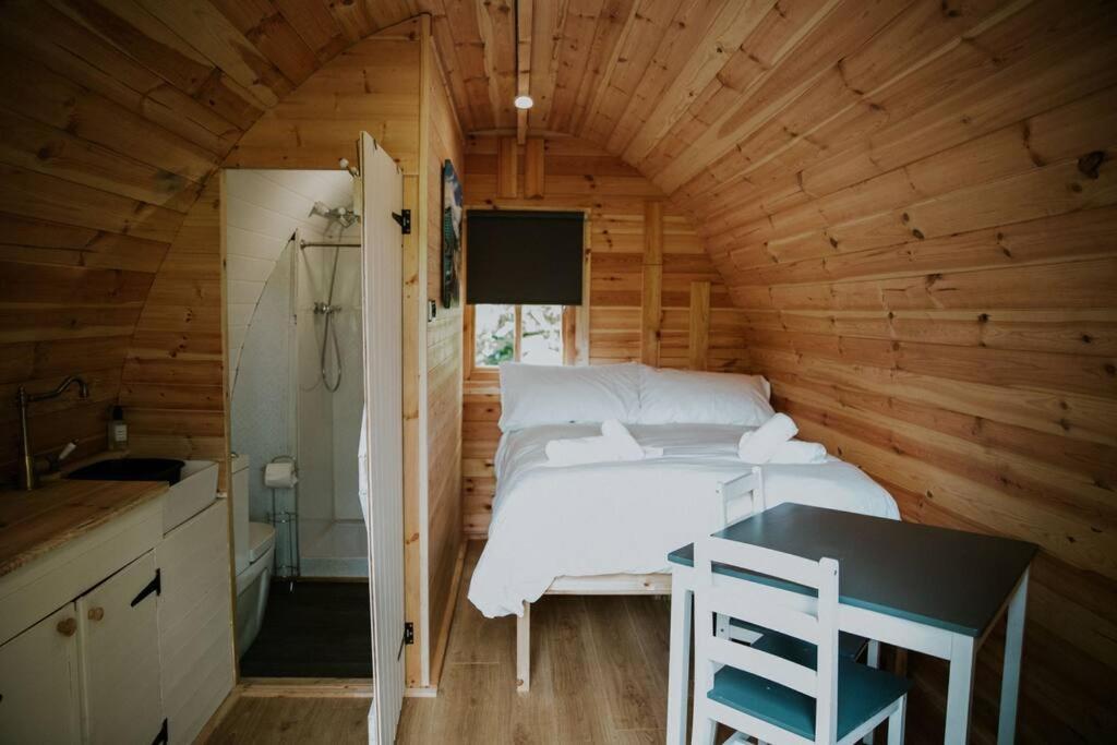Pine Cosy Winter Cabin - Hot Tub & Log Burner Appartamento Barmouth Esterno foto